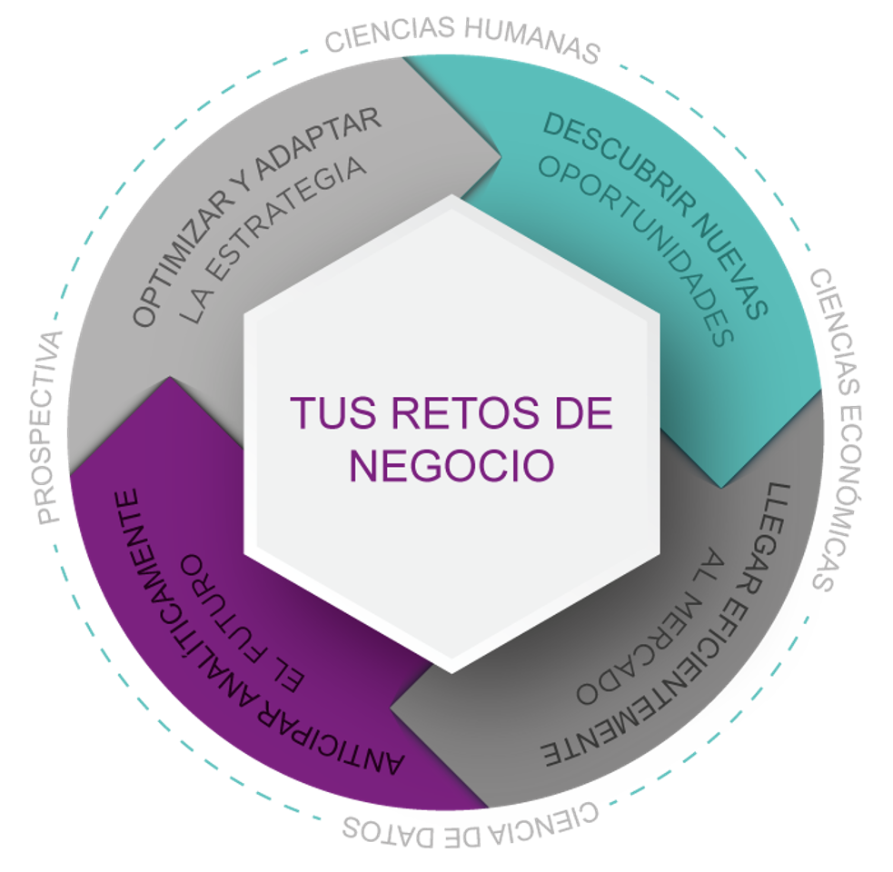sinnetic-pilares-servicios